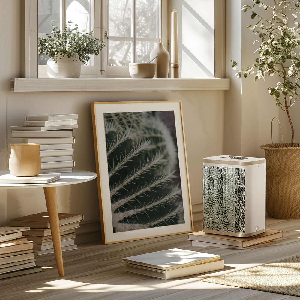 Cactus II Poster